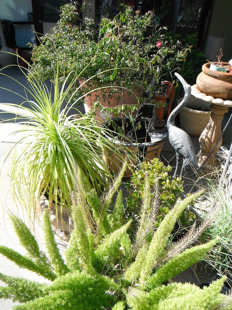Colusa Riverside Inn - photo 15