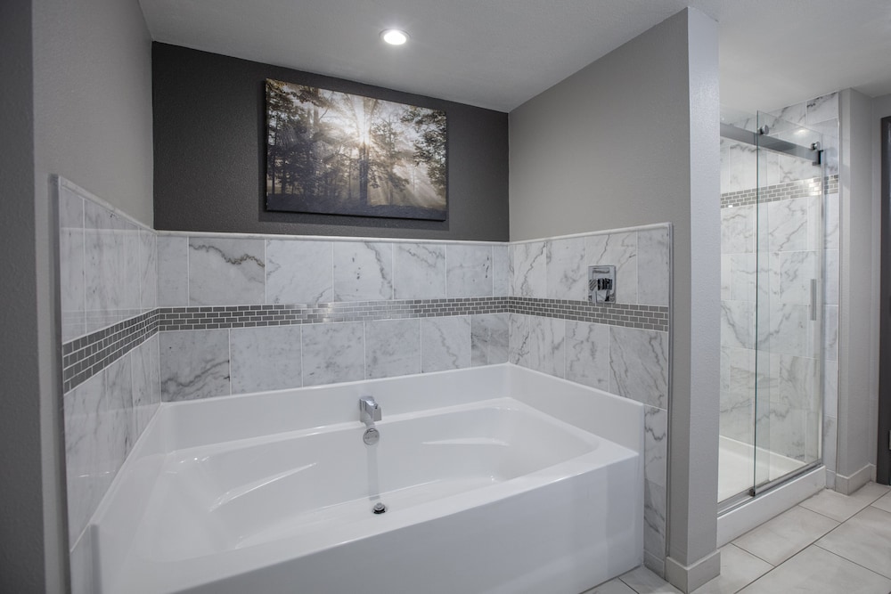 Holiday Inn St Louis SW Route 66 - photo 29