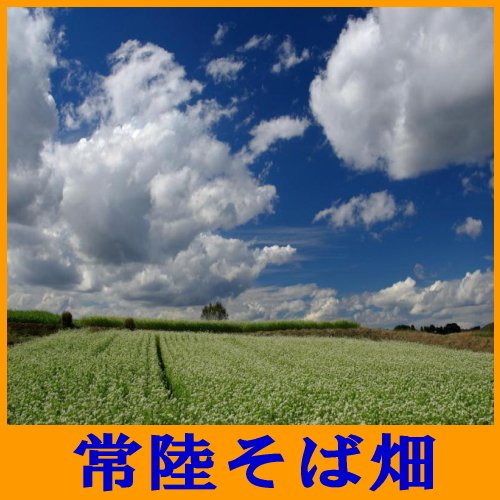 Business Hotel Tokiwa — Tsukuba