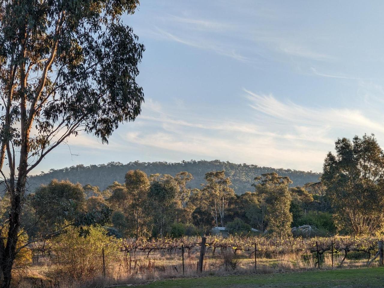 Womburra Vineyard Tiny Stay by Tiny Away — Redbank — photo 5
