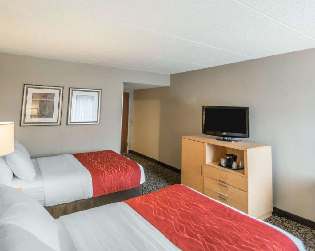 Comfort Inn NYS Fairgrounds - photo 12