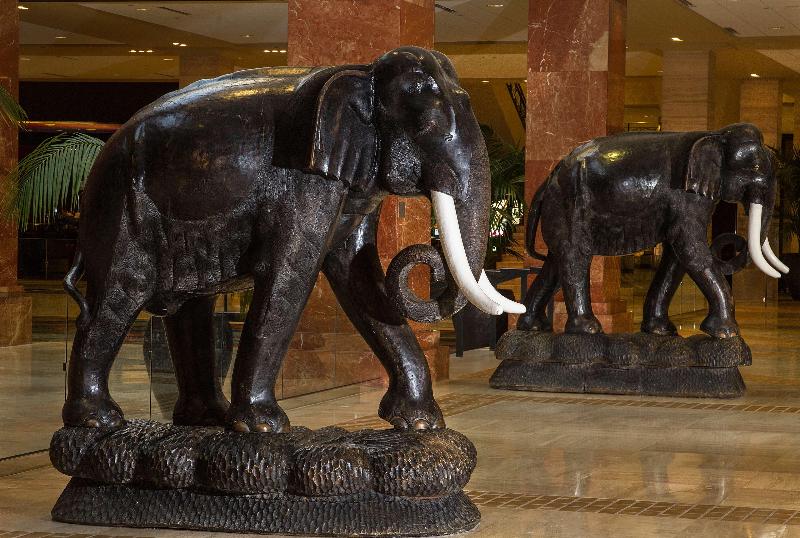 Hilton Anatole - photo 9