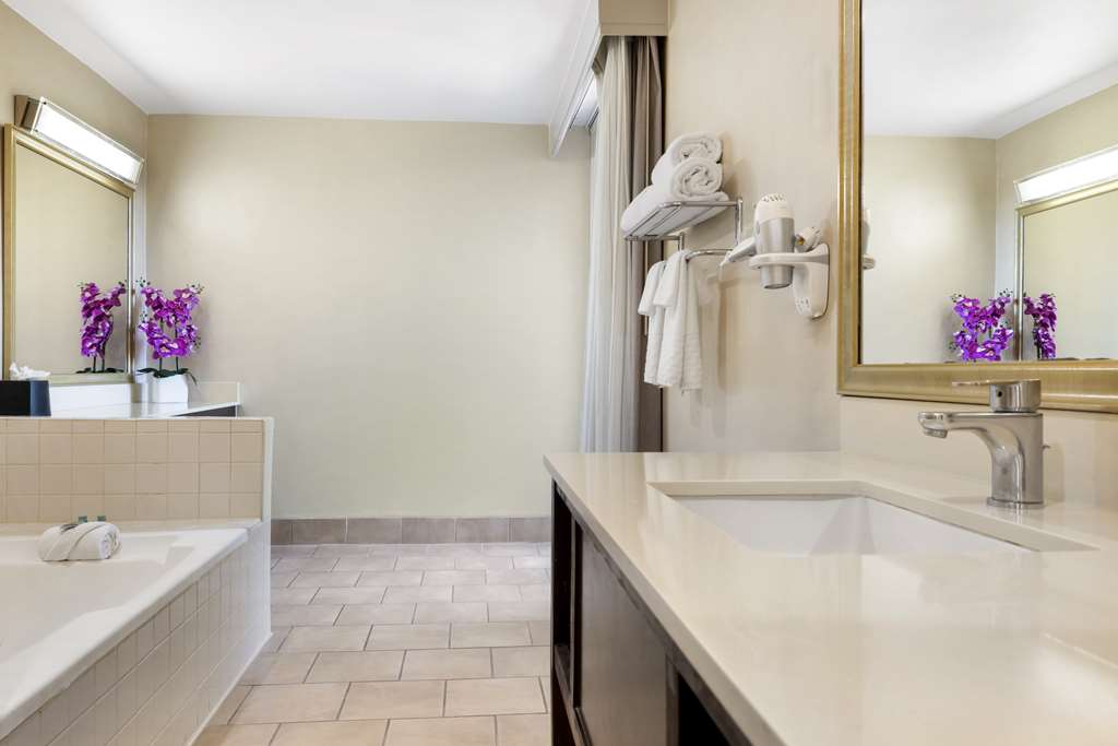 Best Western Royal Palace Inn & Suites - photo 43