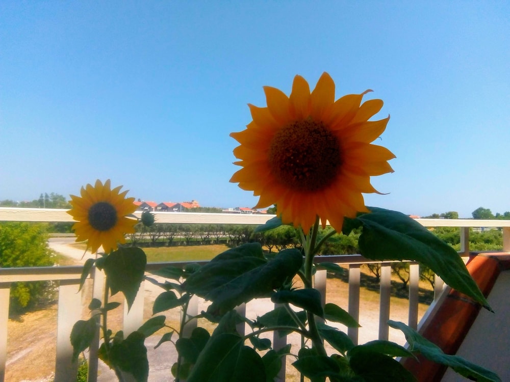 Triple Room for Rent With Private Bathroom in Molise Wifi