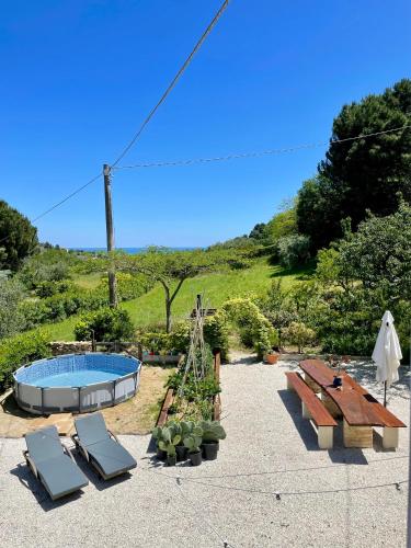 Microfattoria Lenta — Massignano — photo 4