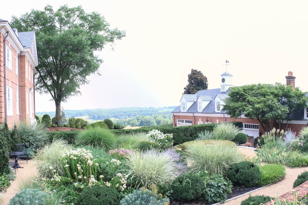 Albemarle Estate at Trump Winery - photo 40