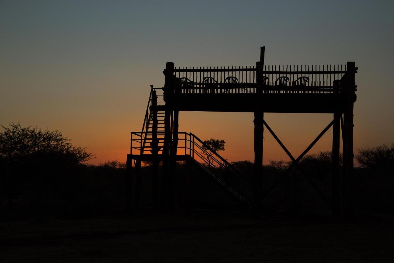 Witgatboom Boskamp - last minute hotel in Unknown City