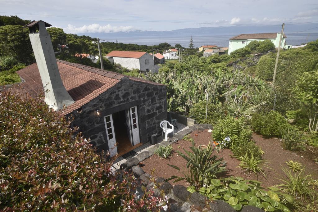Adega do Gato — Piedade — photo 3