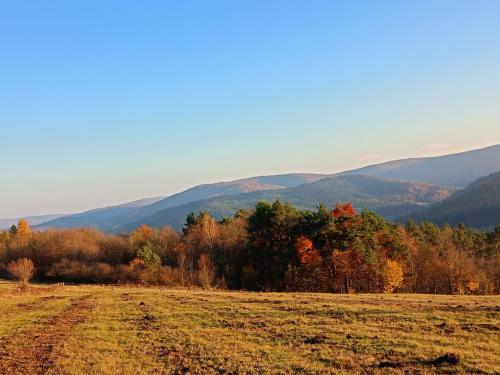 Domek Rodakówka in Krempna, Poland