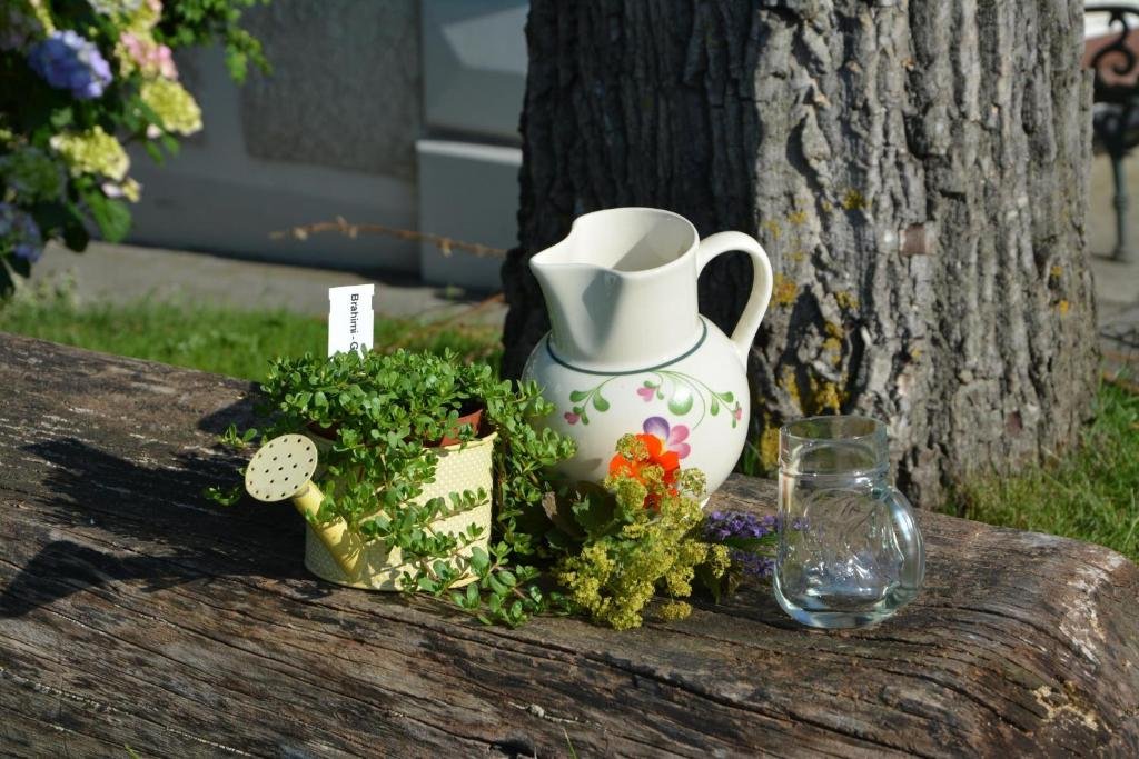 Bio Bauernhof Haunschmid in Sankt Valentin, Austria