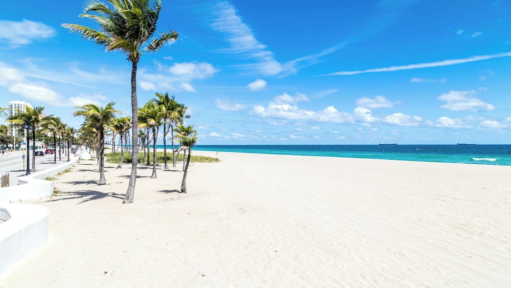 Holiday Inn Express & Suites Fort Lauderdale Airport South by IHG - photo 33