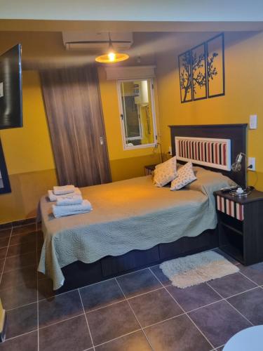 Loft Centro — Villa Union — photo 4