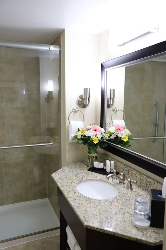 Embassy Suites by Hilton Nashville at Vanderbilt - photo 17