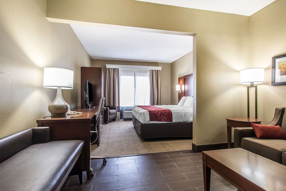 Comfort Suites Effingham Central - photo 7