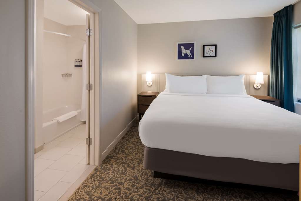 Sonesta ES Suites Andover Boston - photo 28