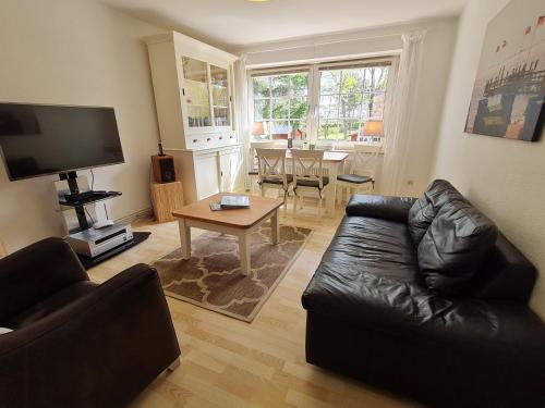 Strandkrabbe in Wyk Auf Foehr, Germany