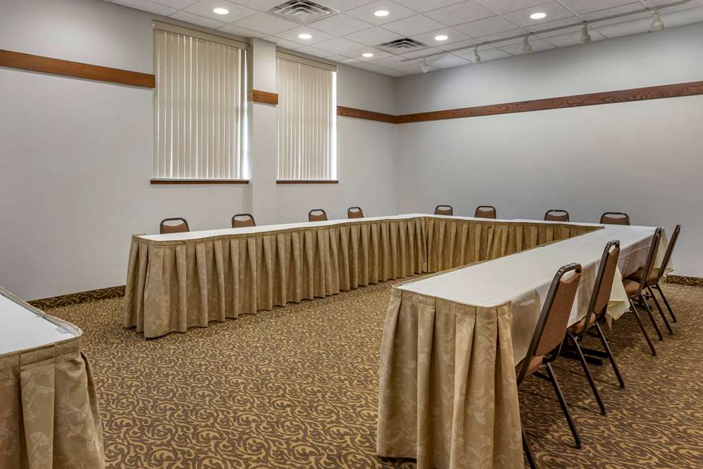 Comfort Inn Okemos East Lansing - photo 31
