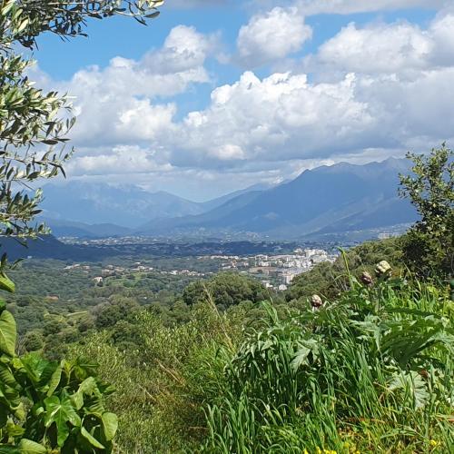 Chez Aldo in Ajaccio, France