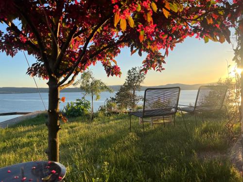 Oslofjord Idyll - last minute hotel in Unknown City