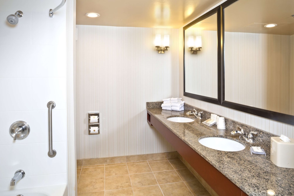 Hilton Garden Inn Baltimore White Marsh - photo 26