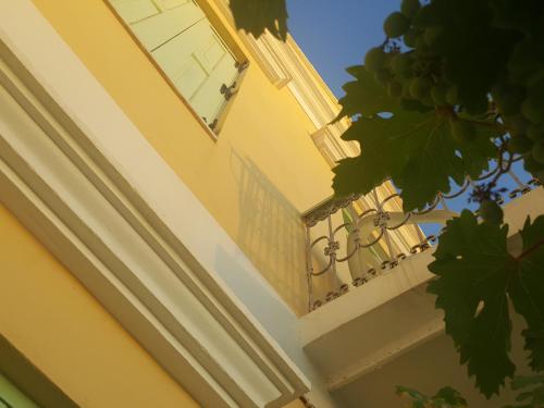 Pitini — Symi — photo 3