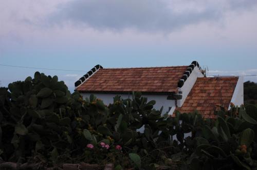 Casa Las Escaleritas — Valverde — photo 5