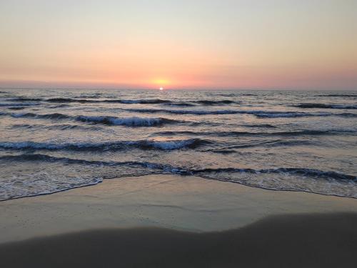 Pish poro Fier in Fier, Albania