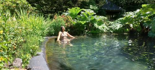 Pucón Volcano Forest SPA — Pucon — photo 3