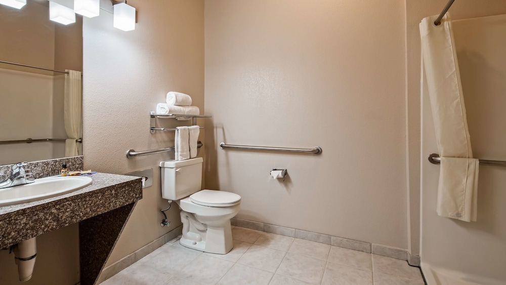 Best Western Plus Memorial Inn & Suites - photo 11