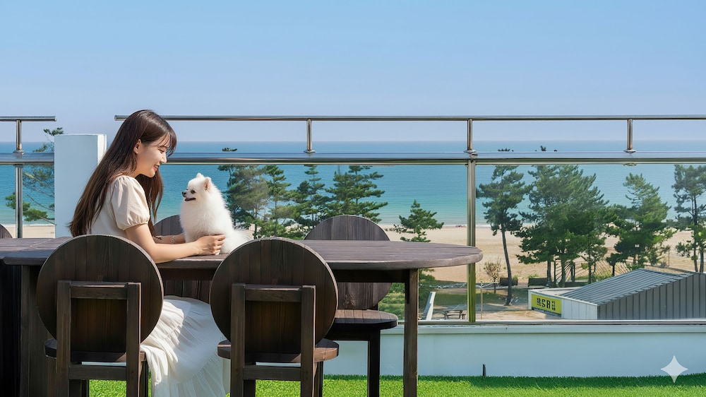 Goseong Mung Stay in Goseong, South Korea