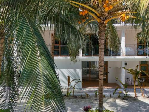 The Palms Thoddoo — Unknown City — photo 3