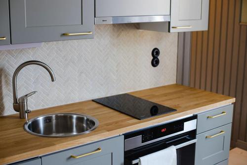 Krepelin Apartments — Kristinestad — photo 3