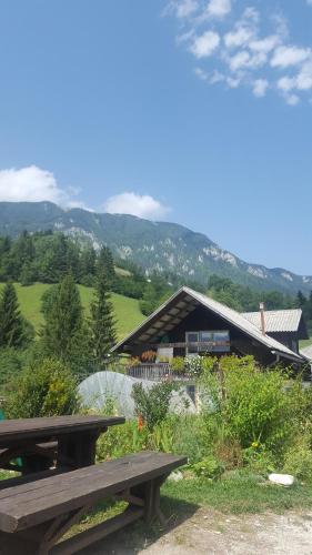 Farm stay Majdač in Solcava, Slovenia