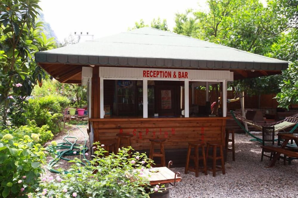 Olympos Doga Pansiyon — Kumluca — photo 2