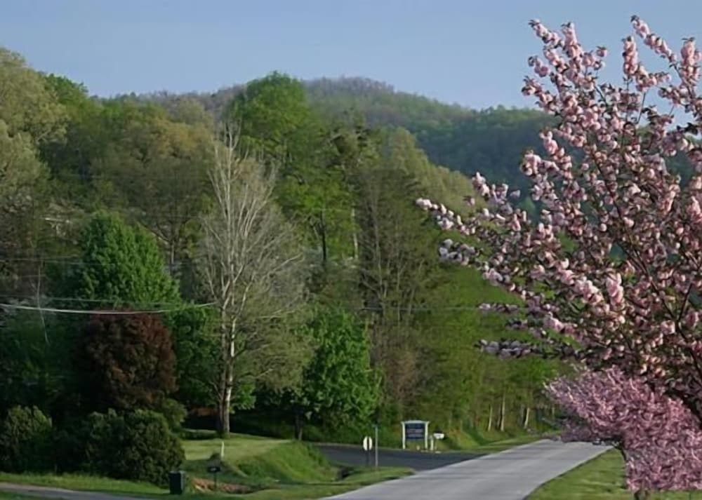 Mountain Aire Cottages & Inn - photo 243