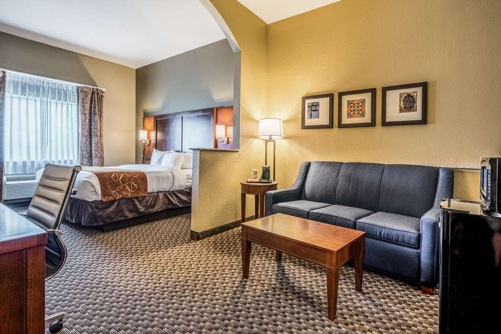 Comfort Suites Near Texas State University - photo 7
