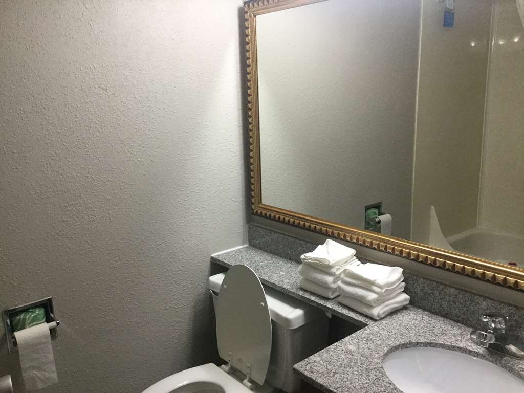 Baymont by Wyndham Michigan City - photo 10