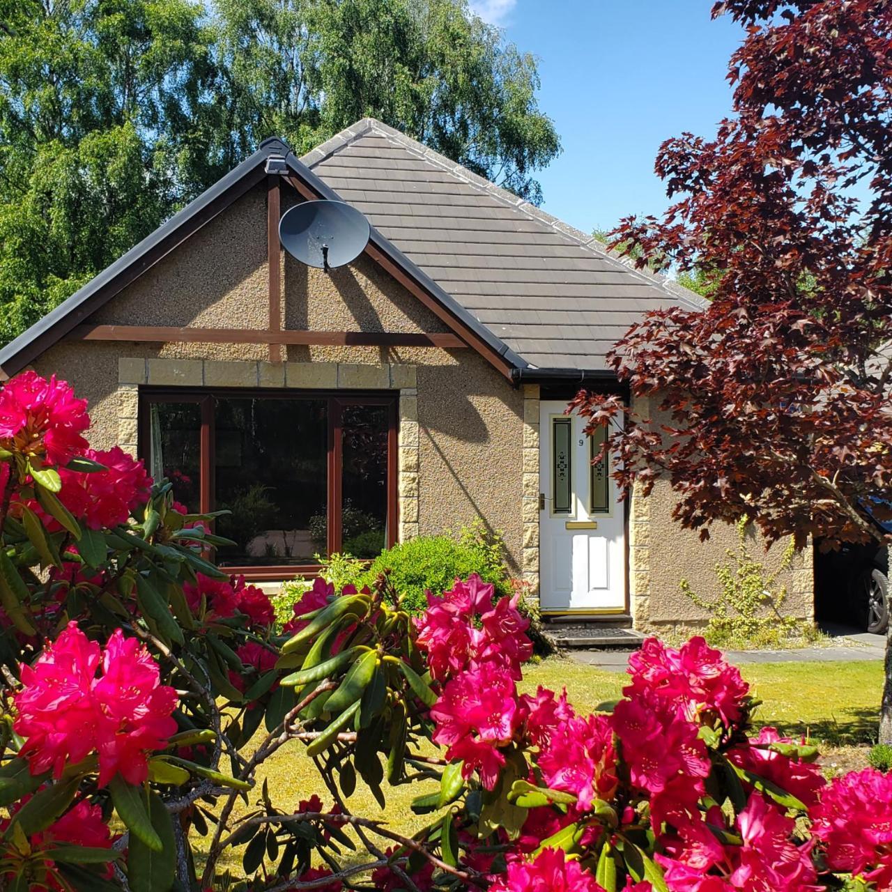 Aviemore Bungalow Dalfaber — 4-Star Luxury Hotel in Aviemore, United Kingdom