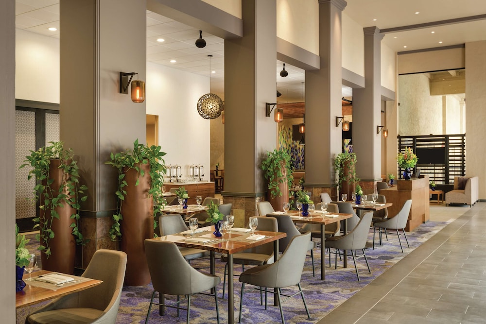 Hilton Scottsdale Resort & Villas - photo 65