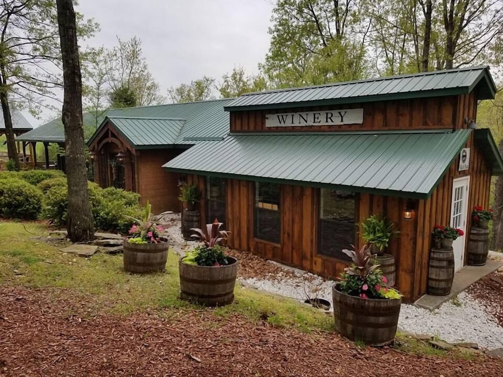 Bear Creek Lodge Cabin Resort - photo 97