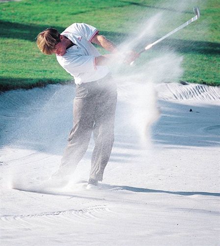 Hollywood Beach Golf Resort - photo 20