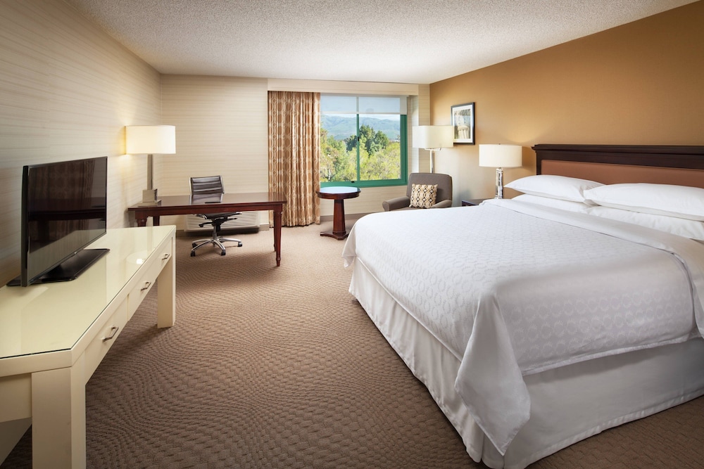 Sheraton San Jose Silicon Valley - photo 13