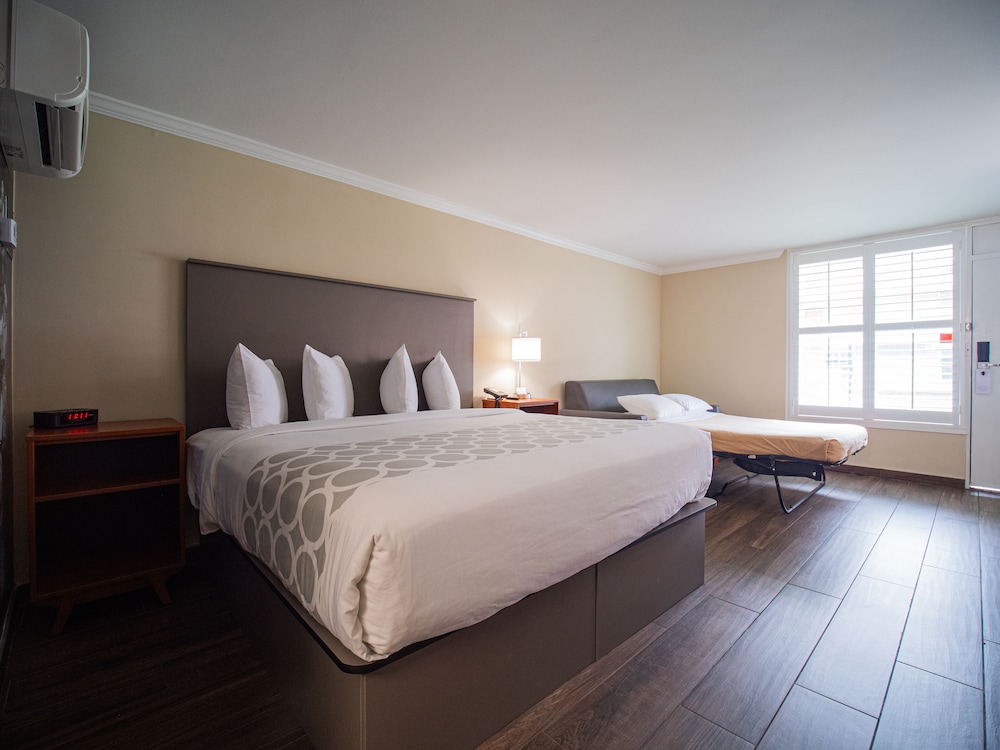Equus Inn Ocala - photo 13