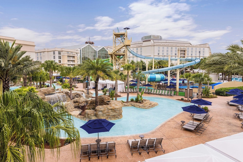 Gaylord Palms Resort & Convention Center - photo 58
