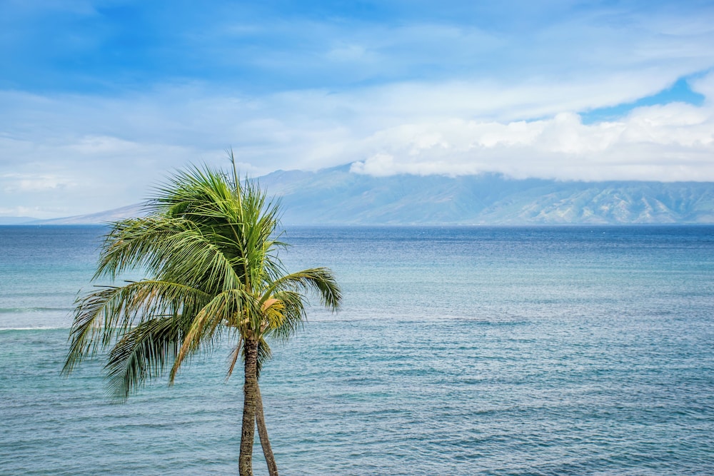Royal Kahana Maui By Outrigger - photo 795