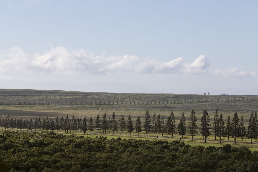 Four Seasons Resort Lanai - photo 137