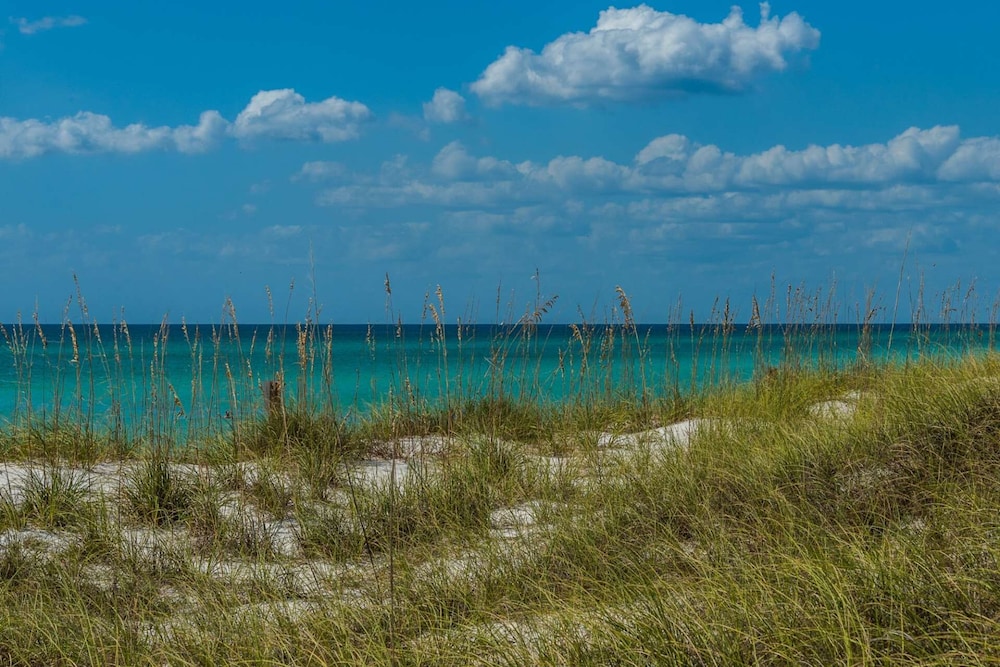 Oceanna 18 - photo 54