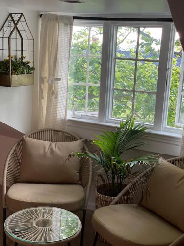 Buttonwood Boutique Hotel - photo 94