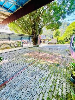 TranquilZ — Kandy — photo 4
