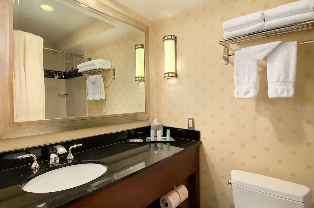 Hilton Chicago O'Hare Airport - photo 34